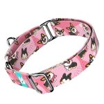 Pembroke Welsh Corgi, tricolor, rózsaszín - Kutya Félfojtó Nyakörv - april & june