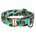 Tacskó, kék - Kutya Félfojtó Nyakörv - april & june