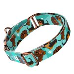 Tacskó, kék - Kutya Félfojtó Nyakörv - april & june