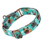 Francia Bulldog, kék - Kutya Félfojtó Nyakörv - april & june