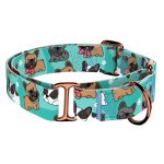 Francia Bulldog, kék - Kutya Félfojtó Nyakörv - april & june