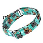 Francia Bulldog, kék - Kutya Félfojtó Nyakörv - april & june