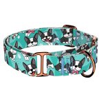 Boston Terrier, kék - Kutya Félfojtó Nyakörv - april & june