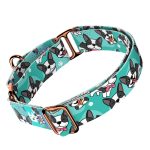 Boston Terrier, kék - Kutya Félfojtó Nyakörv - april & june