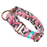 Boston Terrier, rózsaszín - Kutya Félfojtó Nyakörv - april & june