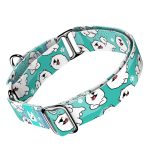 Szamojéd, kék - Kutya Félfojtó Nyakörv - april & june