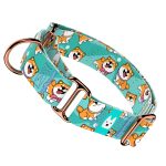 Shiba Inu, Kék - Kutya Félfojtó Nyakörv - april & june