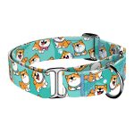 Shiba Inu, Kék - Kutya Félfojtó Nyakörv - april & june