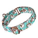 Si-cu, kék - Kutya Félfojtó Nyakörv - april & june