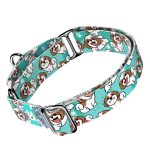 Si-cu, kék - Kutya Félfojtó Nyakörv - april & june