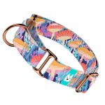 Vicces Gombás - Kutya Félfojtó Nyakörv - april & june