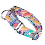 Vicces Gombás - Kutya Félfojtó Nyakörv - april & june