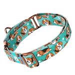 Beagle, kék - Kutya Félfojtó Nyakörv - april & june