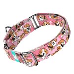 Beagle, rózsaszín - Kutya Félfojtó Nyakörv - april & june