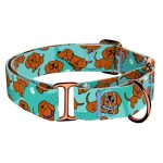 Vizsla, kék - Kutya Félfojtó Nyakörv - april & june