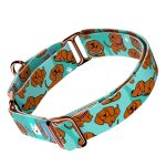 Vizsla, kék - Kutya Félfojtó Nyakörv - april & june