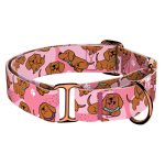 Vizsla, rózsaszín - Kutya Félfojtó Nyakörv - april & june