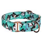 Border Collie, kék - Kutya Félfojtó Nyakörv - april & june