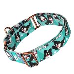 Border Collie, kék - Kutya Félfojtó Nyakörv - april & june