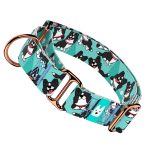 Border Collie, kék - Kutya Félfojtó Nyakörv - april & june