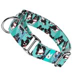 Border Collie, kék - Kutya Félfojtó Nyakörv - april & june