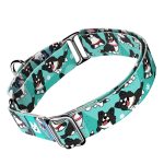 Border Collie, kék - Kutya Félfojtó Nyakörv - april & june