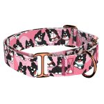 Border Collie, rózsaszín - Kutya Félfojtó Nyakörv - april & june