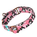 Border Collie, rózsaszín - Kutya Félfojtó Nyakörv - april & june