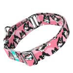 Border Collie, rózsaszín - Kutya Félfojtó Nyakörv - april & june
