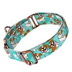 Jack russel terrier, kék - Kutya Félfojtó Nyakörv - april & june