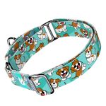 Jack russel terrier, kék - Kutya Félfojtó Nyakörv - april & june