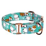 Bullterrier, kék - Kutya Félfojtó Nyakörv - april & june