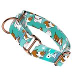 Bullterrier, kék - Kutya Félfojtó Nyakörv - april & june