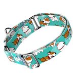 Bullterrier, kék - Kutya Félfojtó Nyakörv - april & june