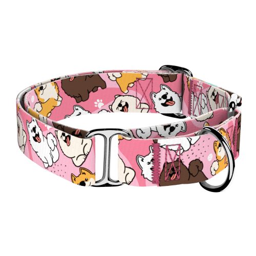 Spitz, pink - Martingale Dog collar - april & june