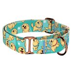 Golden retriever, kék - Kutya Félfojtó Nyakörv - april & june