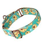 Golden retriever, kék - Kutya Félfojtó Nyakörv - april & june