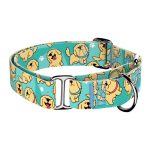 Golden retriever, kék - Kutya Félfojtó Nyakörv - april & june