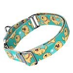 Golden retriever, kék - Kutya Félfojtó Nyakörv - april & june