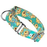 Golden retriever, kék - Kutya Félfojtó Nyakörv - april & june