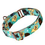 Labrador retriever, kék - Kutya Félfojtó Nyakörv - april & june