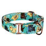 Labrador retriever, kék - Kutya Félfojtó Nyakörv - april & june