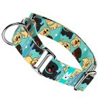 Labrador retriever, kék - Kutya Félfojtó Nyakörv - april & june