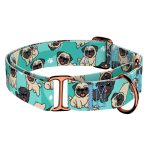 Pug, blue - Martingale Dog collar - april & june