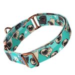 Pug, blue - Martingale Dog collar - april & june