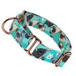 Pug, blue - Martingale Dog collar - april & june