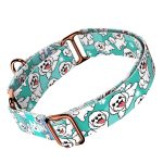 Bolognese, kék - Kutya Félfojtó Nyakörv - april & june