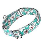 Bolognese, kék - Kutya Félfojtó Nyakörv - april & june