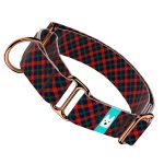 Elegant Christmas Tartan - Martingale Dog collar - april & june