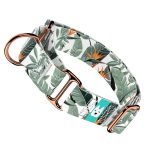 Papagájvirág - Kutya Félfojtó Nyakörv - april & june